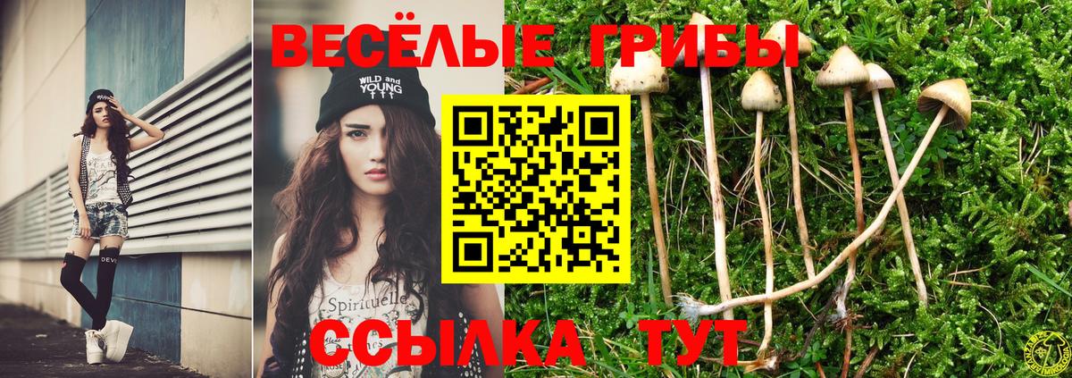 Галлюциногенные грибы GOLDEN TEACHER  Вход с VPN  Псилоцибиновые грибы Psilocybe  Советская Гавань 