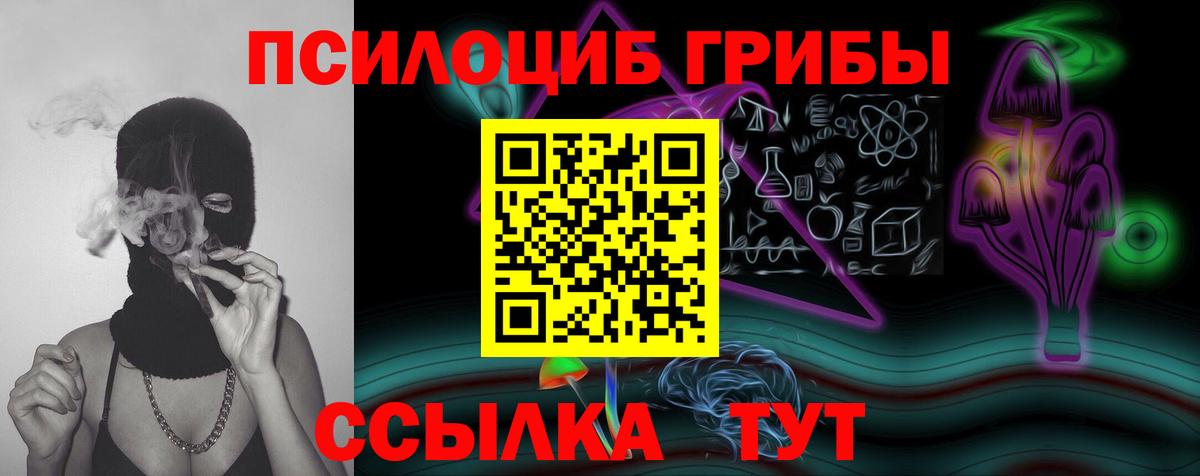 Галлюциногенные грибы Psilocybine cubensis Советская Гавань